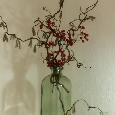 Ferienhaus Erika Mallnitz Εξωτερικό φωτογραφία